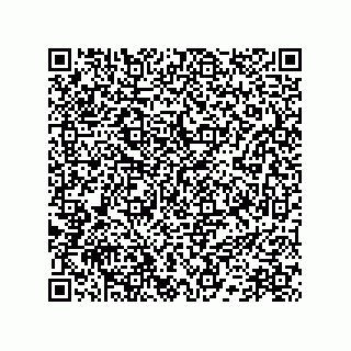 vCard 78172267387