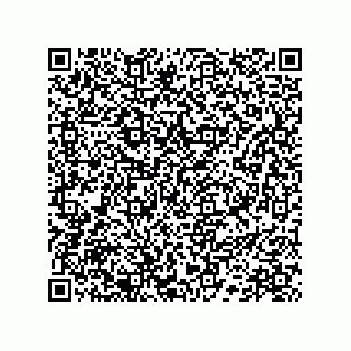 vCard 78172267389