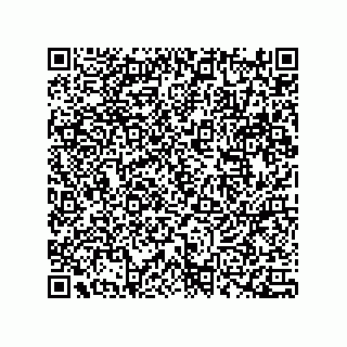 vCard 78172289729