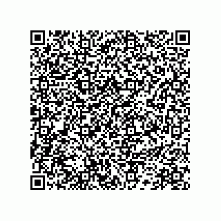 vCard 78172289741