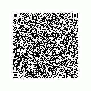vCard 78172289809