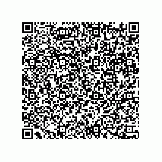 vCard 78172289919