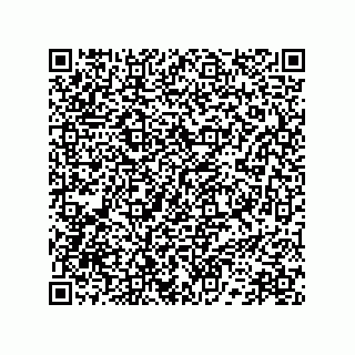 vCard 78172289921