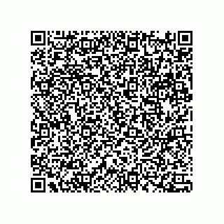 vCard 78172289931