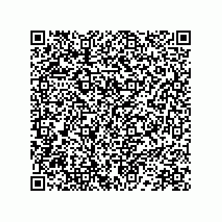 vCard 78172289939