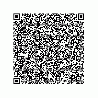 vCard 78172289987