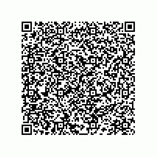 vCard 78172573138