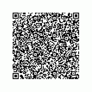 vCard 78172578729