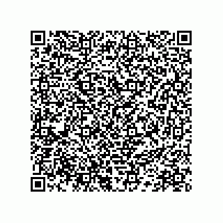 vCard 78172578732