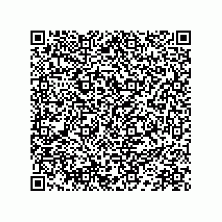 vCard 78172578739