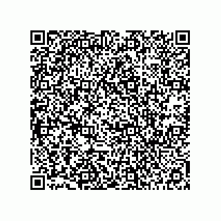 vCard 78172579739
