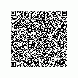 vCard 78172710099