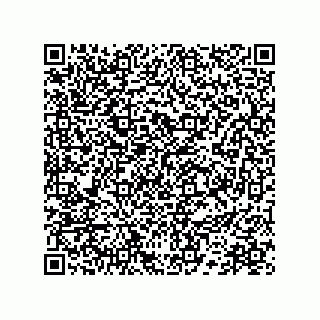 vCard 78172710313
