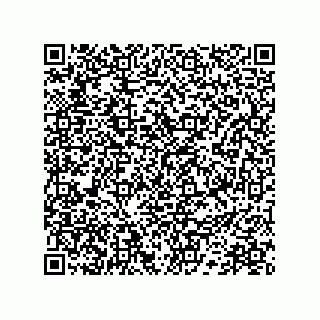 vCard 78172768128