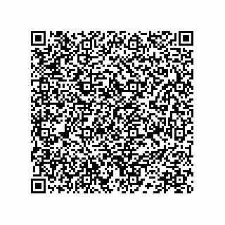 vCard 78172768385
