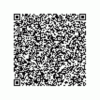 vCard 78172768399