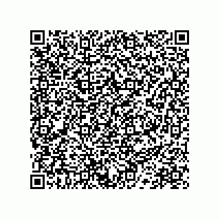 vCard 78172770881