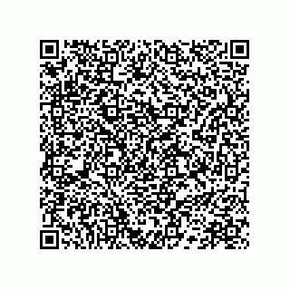 vCard 78172783210
