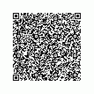 vCard 78172783289
