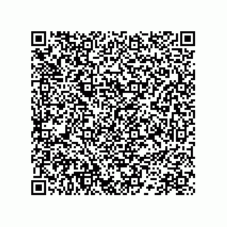 vCard 78172783296