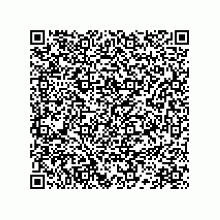 vCard 78172783299