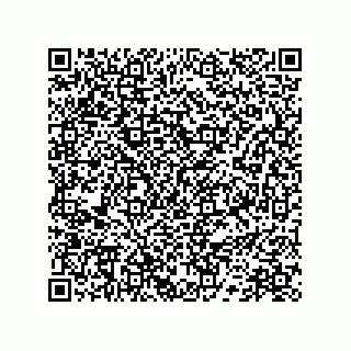 vCard 78172784080