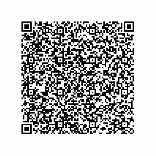 vCard 78172784081