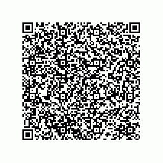 vCard 78172784107