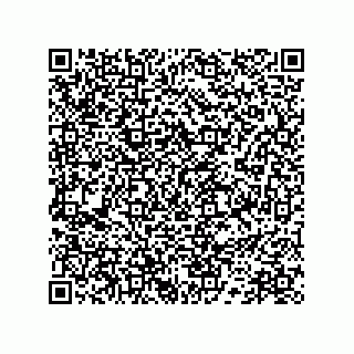 vCard 78172784110