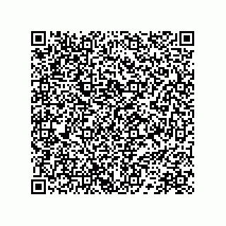 vCard 78172784133