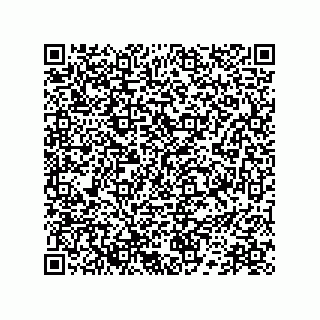 vCard 78172784219