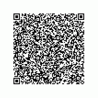 vCard 78172784299