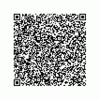 vCard 78172784313