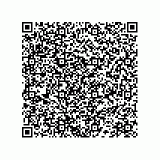 vCard 78172784320