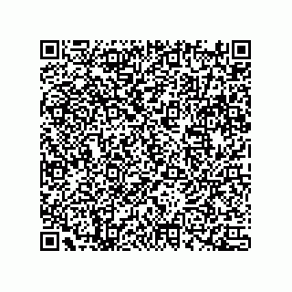 vCard 78172784336