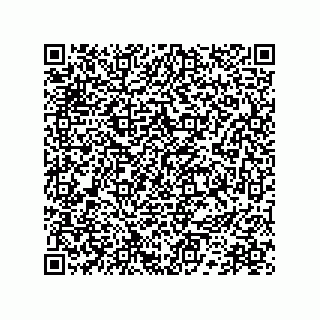 vCard 78172790131