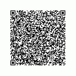 vCard 78172790153