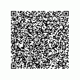 vCard 78172796002