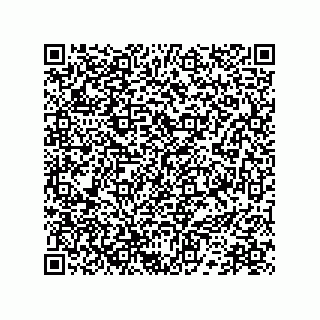 vCard 78172796029