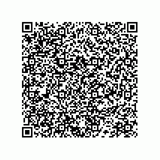 vCard 78172796033