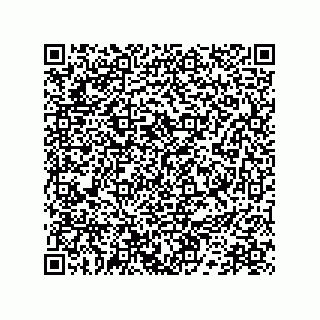 vCard 78172796038