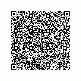 vCard 78172796041