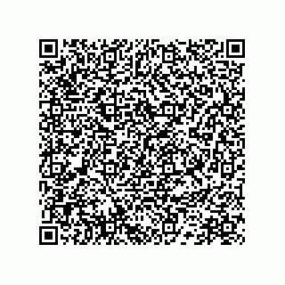 vCard 78172796081