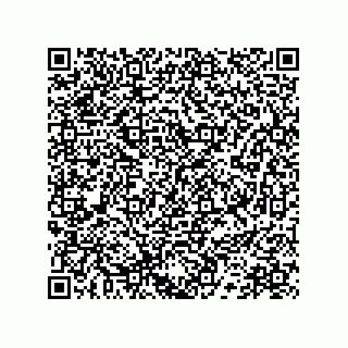 vCard 78172796087