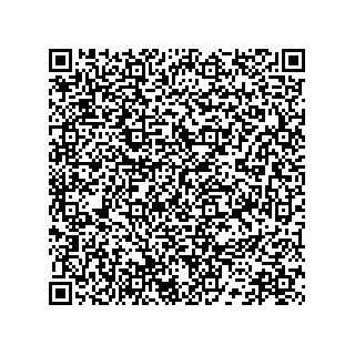 vCard 78172796095