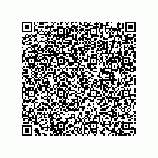 vCard 78172796096