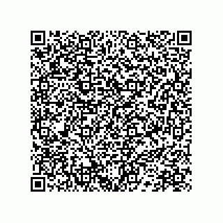 vCard 78172796099