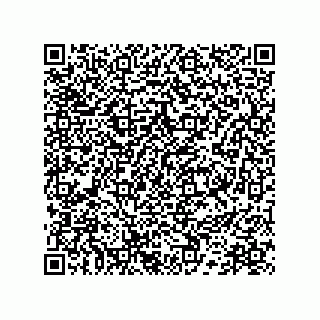 vCard 78172796131