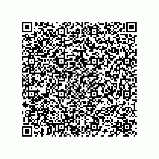 vCard 78172796133