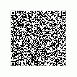 vCard 78172796203